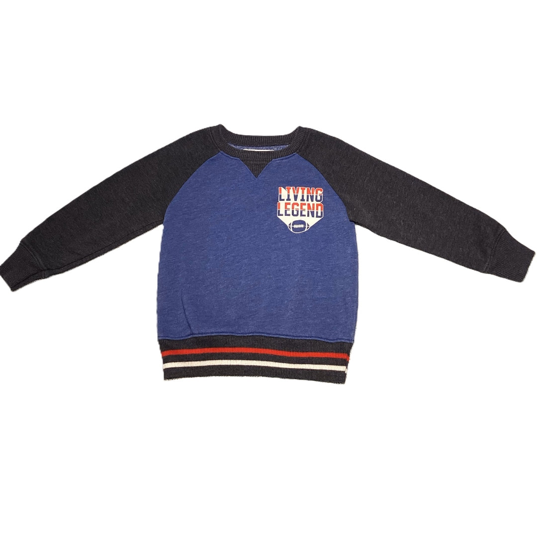 2T Boys Old Navy Living Legend Pullover