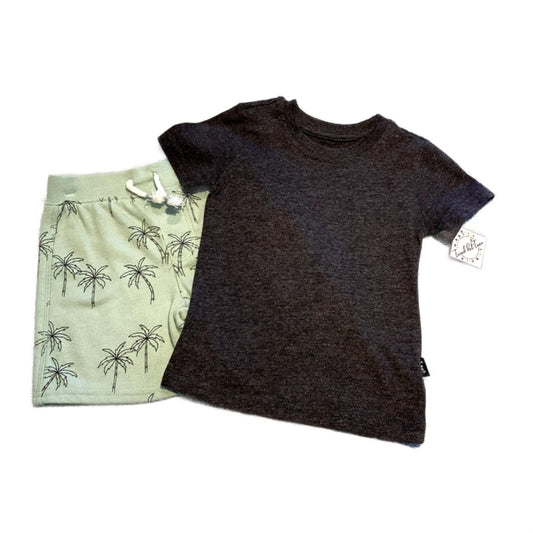 2T Boys Lee Gray Tshirt, Garanimals Mint Green Palm Tree Cloth Shorts