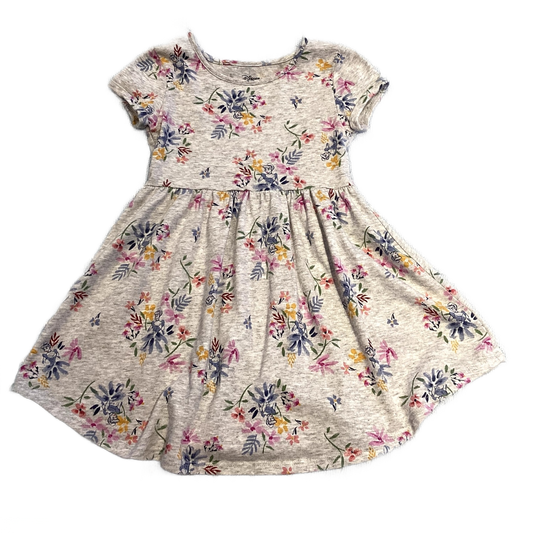 3T Girls Jumping Beans Grey Cinderella Floral Dress