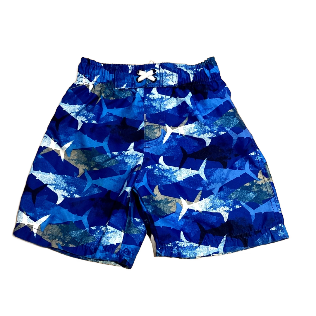 3T Boys Circo Royal Blue Swim Trunks w/Abstract Sharks